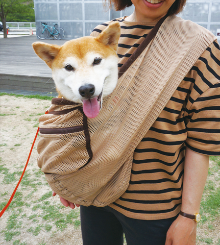 豆柴におすすめのドッグスリング 犬用抱っこ紐 日本で唯一 のドッグスリング 抱っこ紐 専門ブランド Erva エルバ